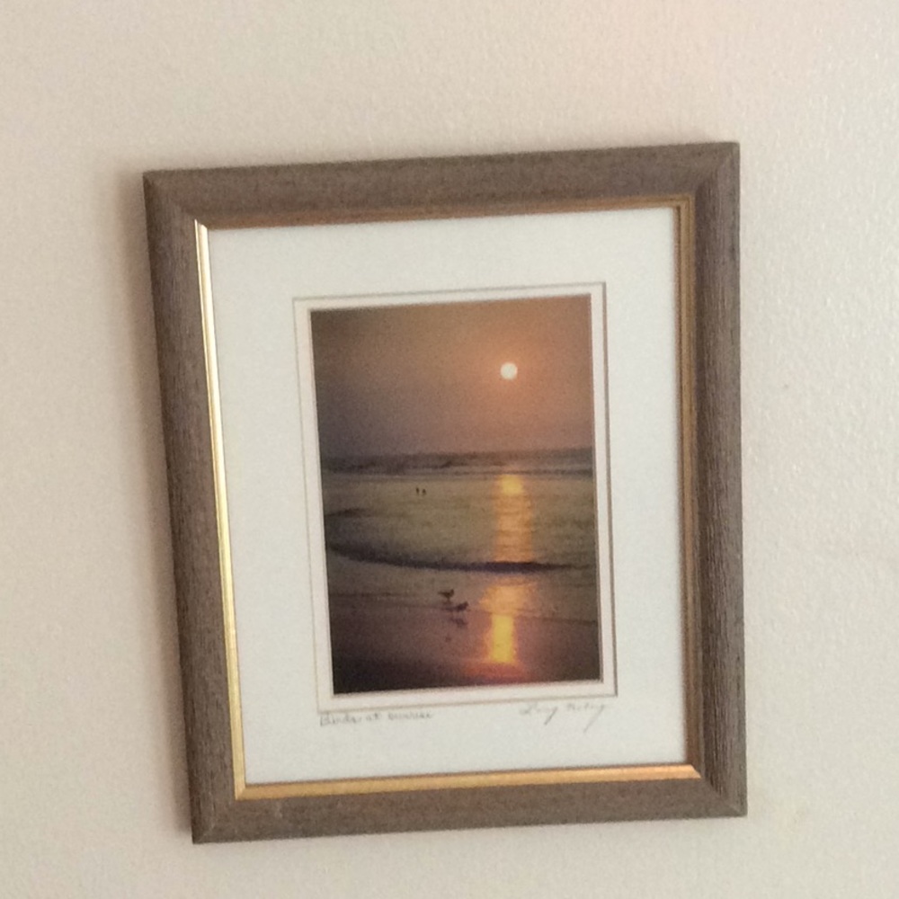 Birds at sunrise signed framed photo - Picture 4 of 7